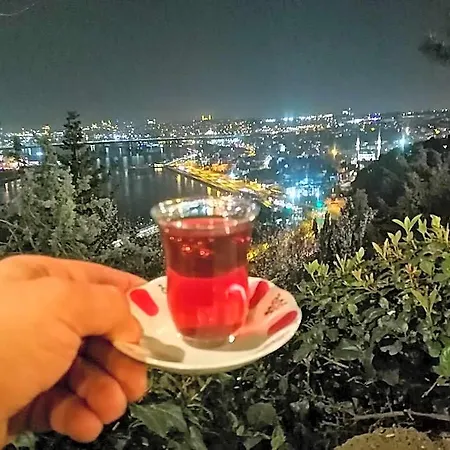 Medellin 伊斯坦布尔